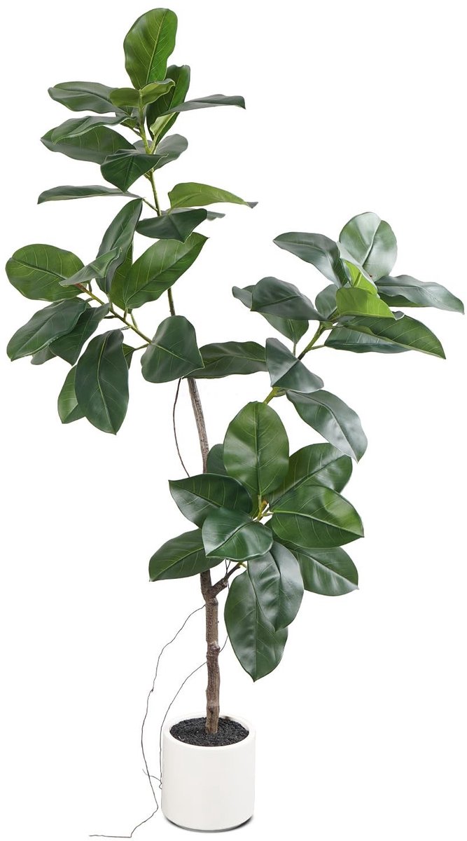 Omgoods - Kunstmatige Ficus Altissima Plant - Realistisch voor Binnen
