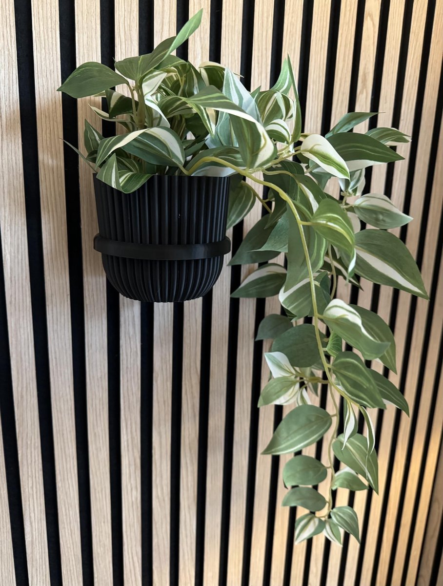 Omgoods - Grote Zwarte Plant Ring V2 voor Akoestische Panelen, Set van 2