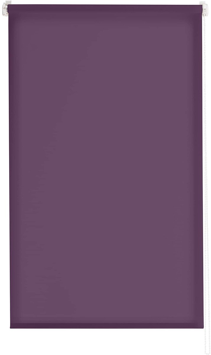 Omgoods - Estoralis Gove Modern Rolgordijn - 40 x 180 cm - Paars en Transparant