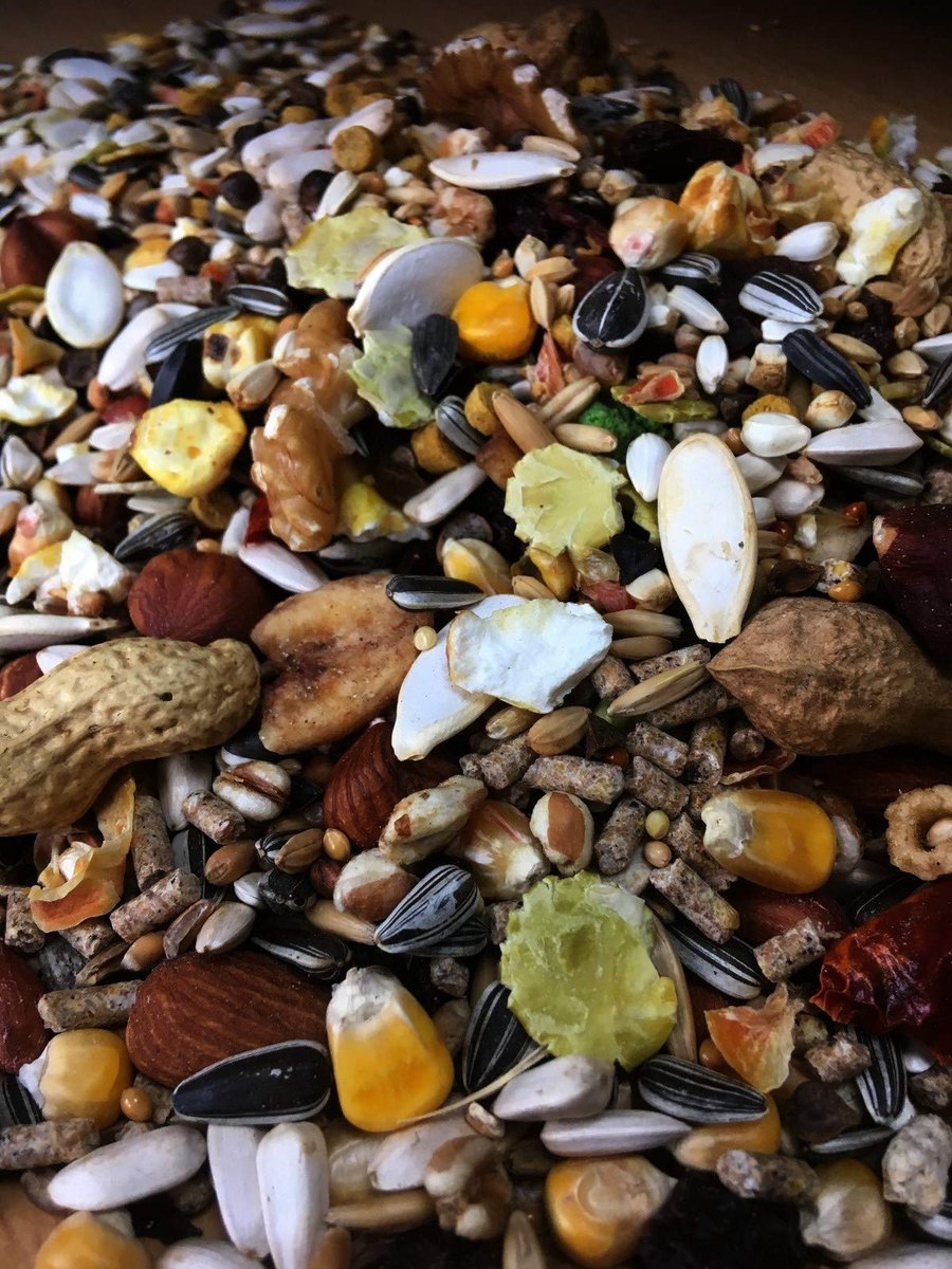 Omgoods- Eichhörnchenvoer 25 kg - Premium Superfood - Natuurlijke ingrediënten - Vezelrijk - Rijk aan eiwitten - Compleet menu - Dierenvoer