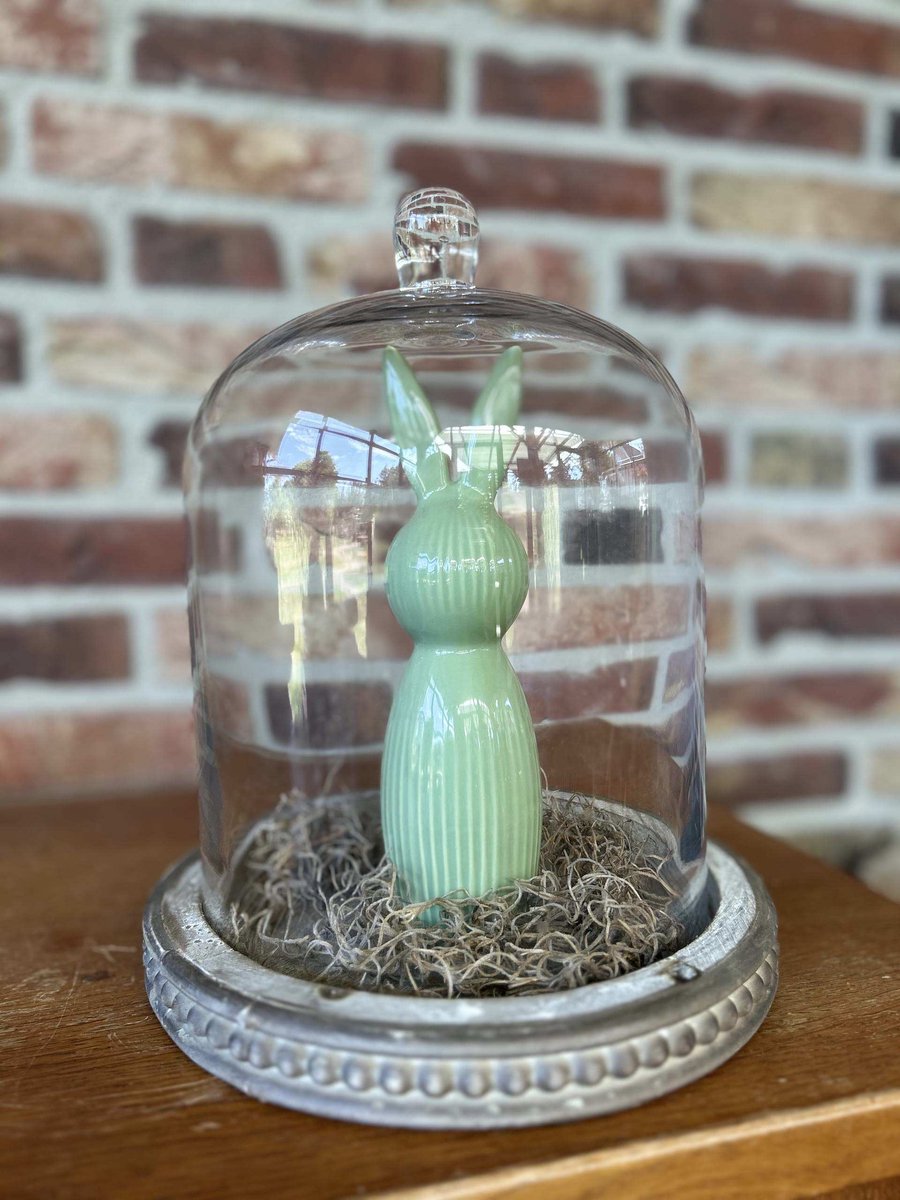 Creaties van hier – met houten hartje - Glazen stolp met Grijsgroen haasje en Tillandsia - 26x23cm
