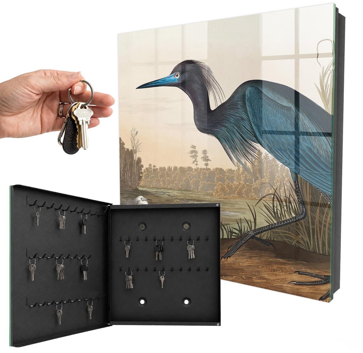 WallMuralia - Sleutelkast - 30x30x5 cm - met 50 haken - Exotische Vogel Sleutelkastje Huis - Blauw Sleutelbox - Linksopenend - Zwart interieur