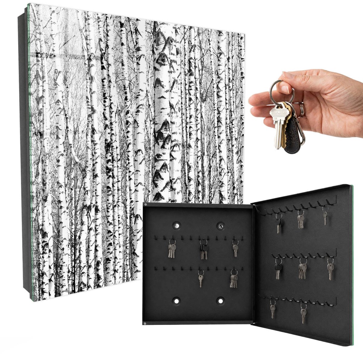 WallMuralia - Sleutelkast - 30x30x5 cm - met 50 haken - Berkenbos Sleutelkastje Voor Binnen - Wit Sleutelbox - Rechtsopenend - Zwart interieur
