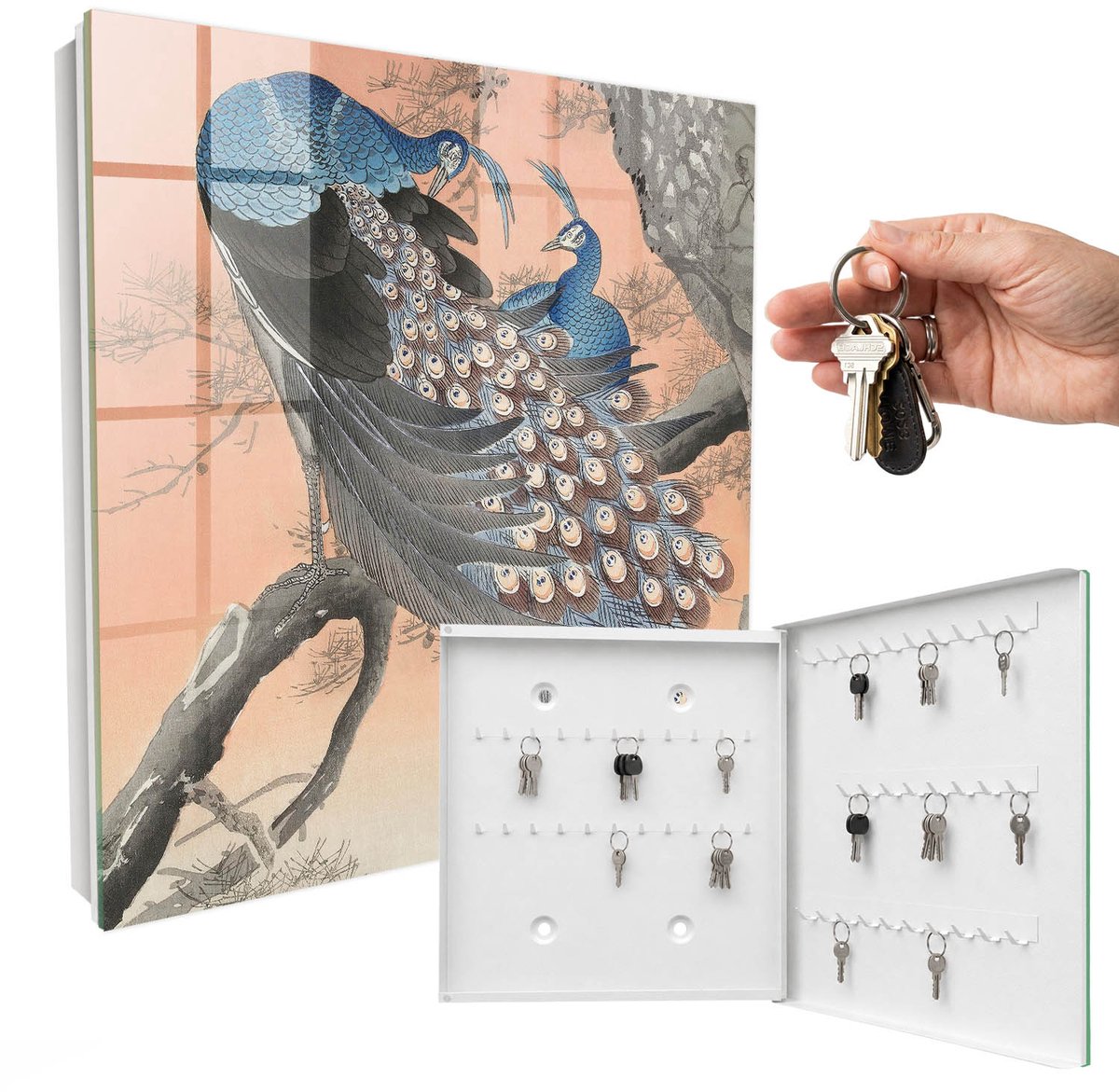 WallMuralia - Sleutelkast - 30x30x5 cm - met 50 haken - Pauw Schoonheid Leuk Sleutelkastje - Blauw Sleutelbox - Rechtsopenend - Wit interieur