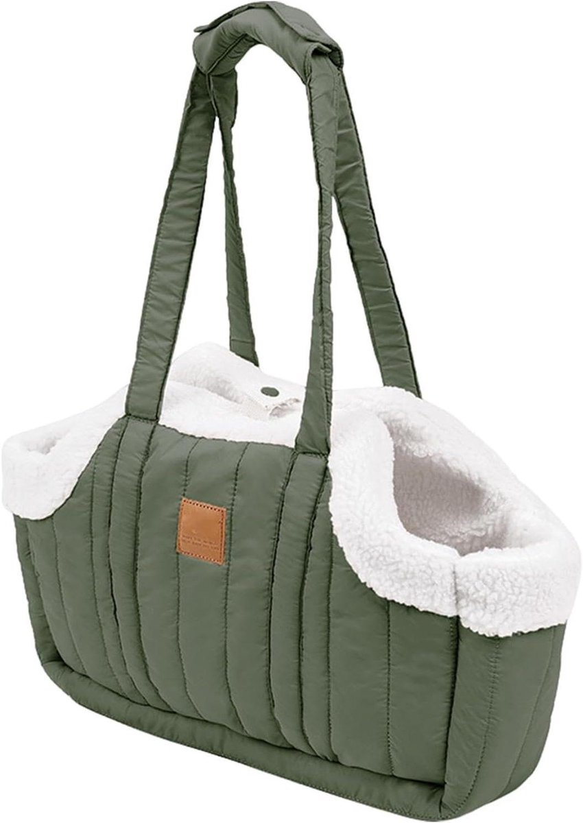 Draagtas Huisdieren - Reistas Hond Kat - Veilig Reizen - Verbeterd Zicht - 38x14x50.5cm - Groen