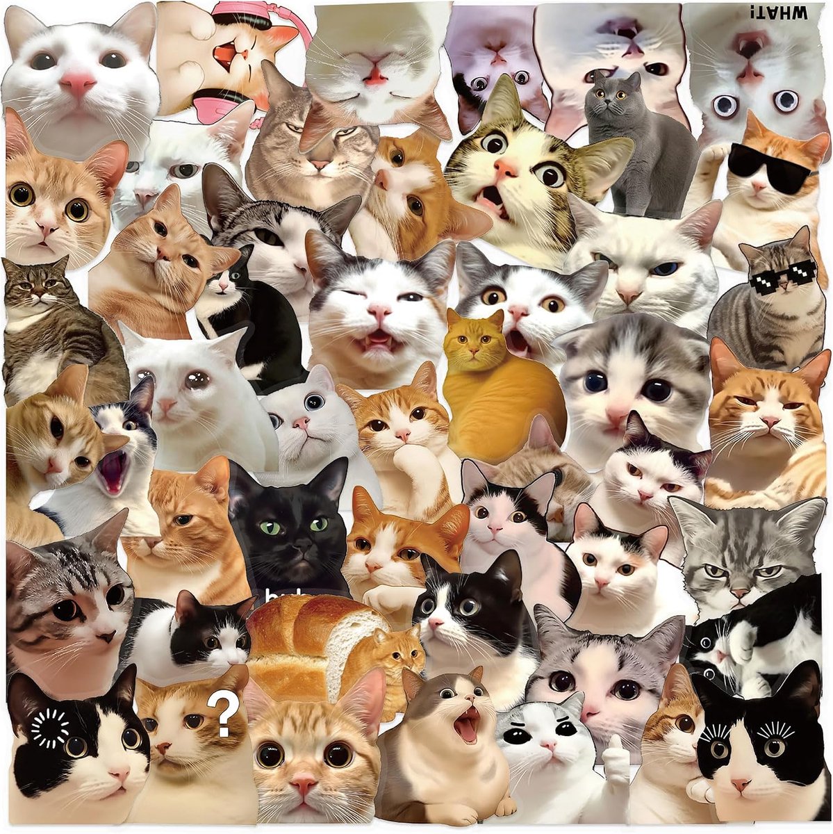 SnelShoppen - 50 Stuk Leuke Katte Plakjes Waterdicht Vinyl voor Laptop, Waterfles, Scrapbooking, Perfect voor Kinderen en Volwassenen, Kattenliefhebbe
