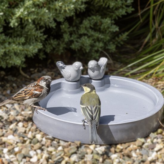 Grijs vogelbad met twee keramische vogelfiguren en drie levende vogels.