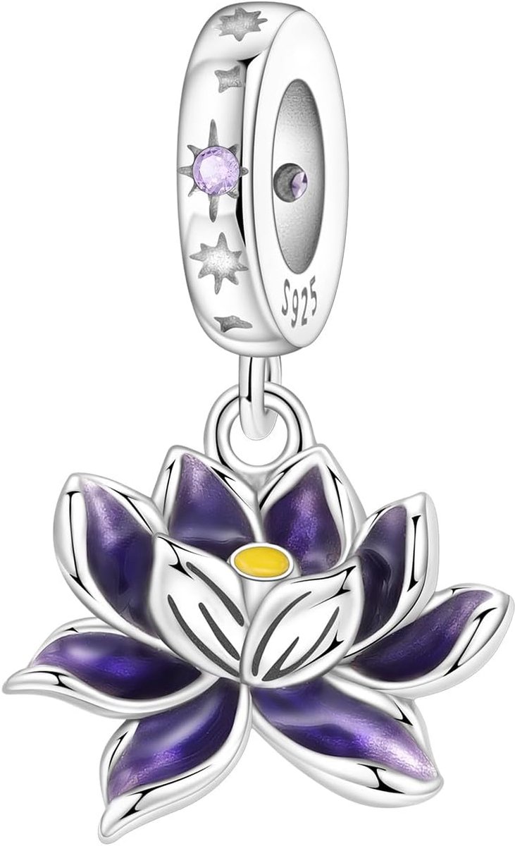 Bedelhanger van 925 sterling zilver, bedel voor dames, compatibel met Europese armbanden en halskettingen