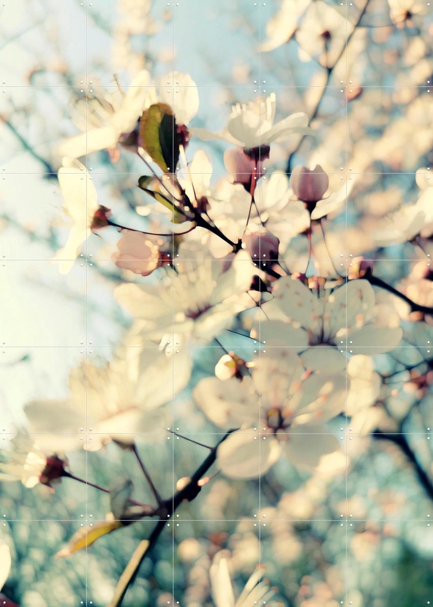IXXI First Day of Spring, Angelo Cerantola - 100 x 140 cm - Gratis ophangtool - Grote wanddecoratie en posters - Fotografie, Slaapkamer, Gang