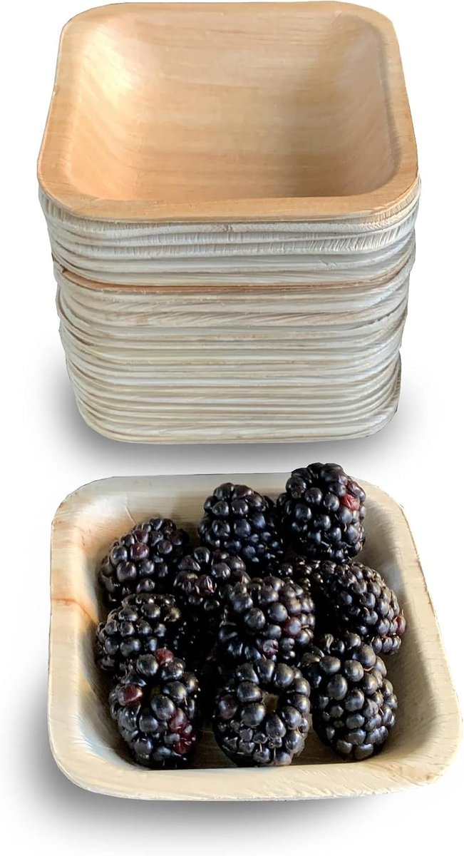 Kommen 25 Stuks (10 cm) | Stevige Feestkommen zoals | Composteerbaar Servies voor Lunch, BBQ, Picknick, Verjaardag en Feesten