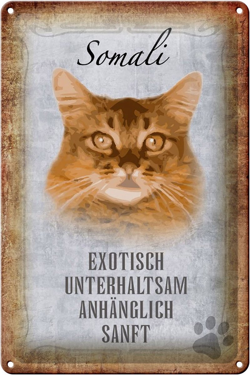 Blechschild Spruch 20x30cm Somali Katze Schild deko