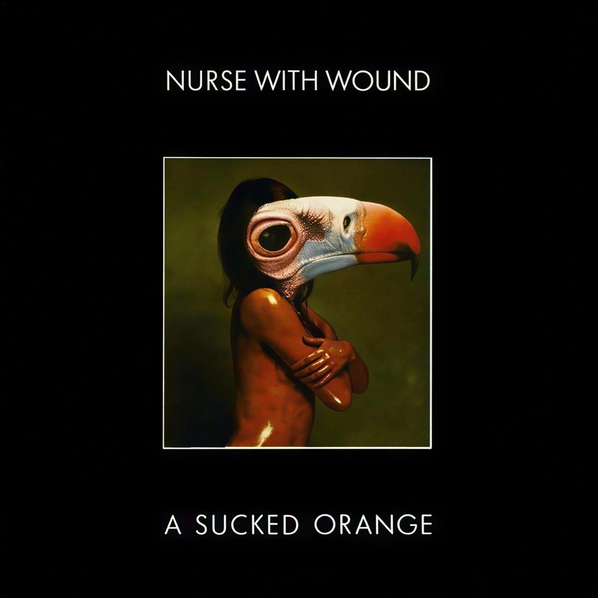 Nurse With Wound - A Sucked Orange (2 LP)