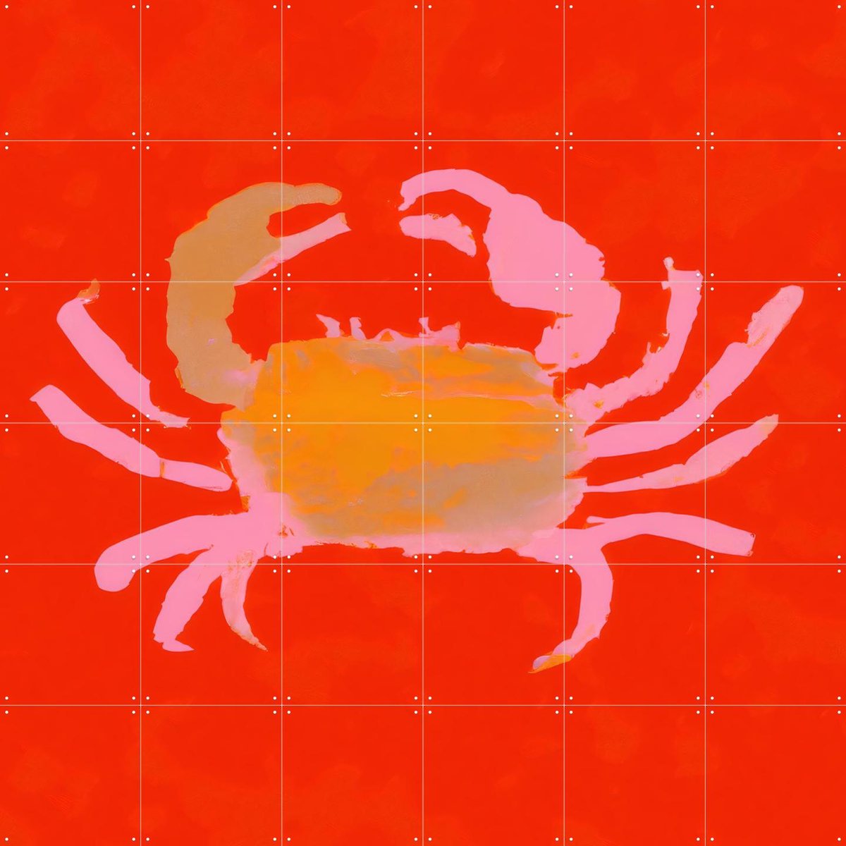 IXXI Crabby Paddy, Interiorisla - 120 x 120 cm - Gratis ophangtool - Grote wanddecoratie en posters - Abstract, Minimalisme, Digitale Kunst, Speels