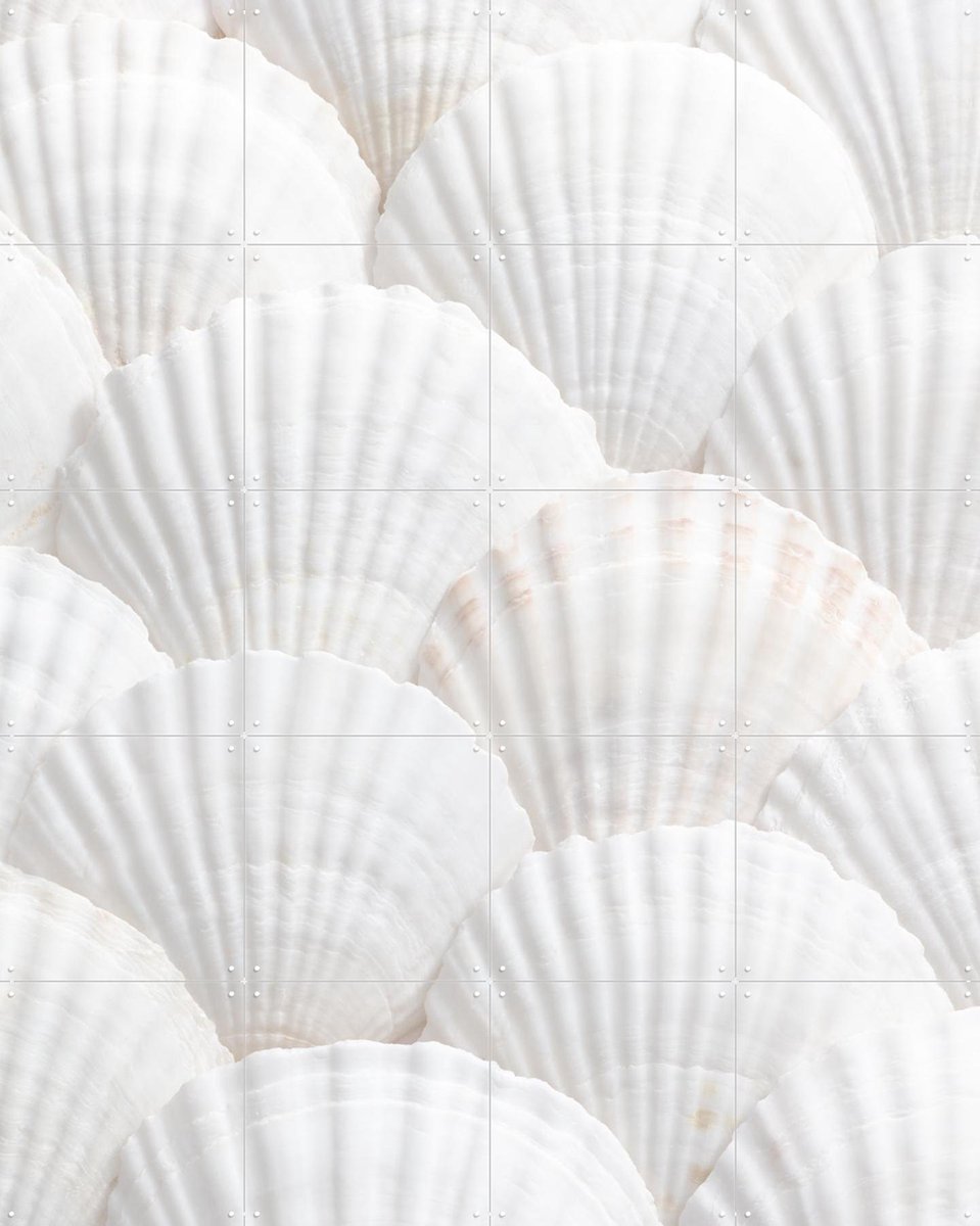 IXXI Seashell Symphony, 1x Studio II & Various - 80 x 100 cm - Gratis ophangtool - Grote wanddecoratie en posters - Modern, Abstract, Minimalisme