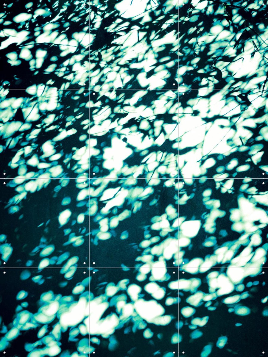IXXI Wall Shadows Teal, Angelo Cerantola - 60 x 80 cm - Gratis ophangtool - Grote wanddecoratie en posters - Modern, Abstract, Surrealisme, Digitale