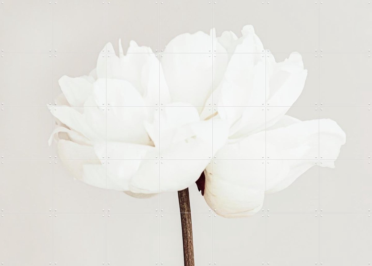IXXI White Bloom Serenity, 1x Studio II & Various - 140 x 100 cm - Gratis ophangtool - Grote wanddecoratie en posters - Abstract, Woonkamer