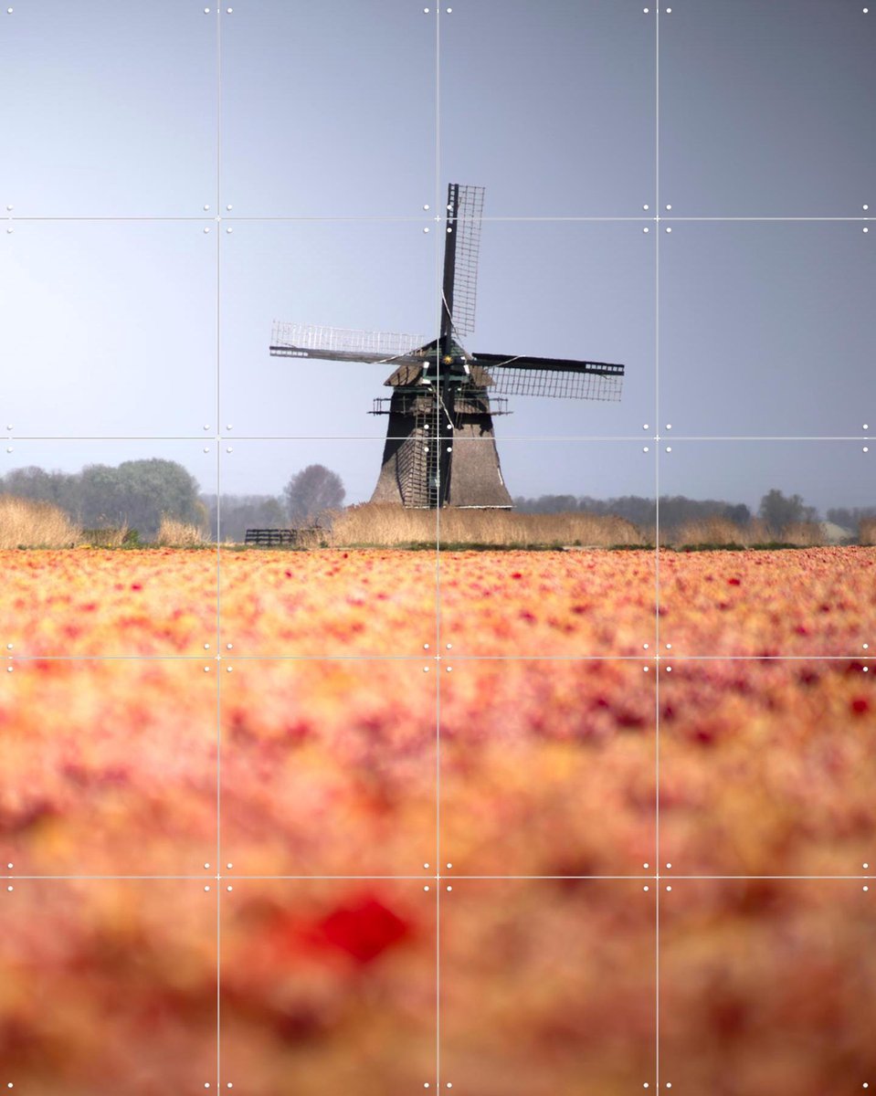 IXXI Windmill in Bloom, Claire Droppert - 80 x 100 cm - Gratis ophangtool - Grote wanddecoratie en posters - Fotografie, Woonkamer, Studeerkamer