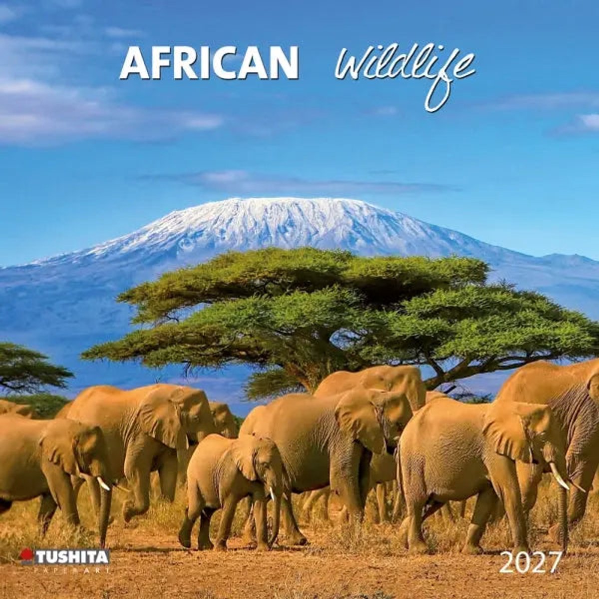 African Wildlife Kalender 2027