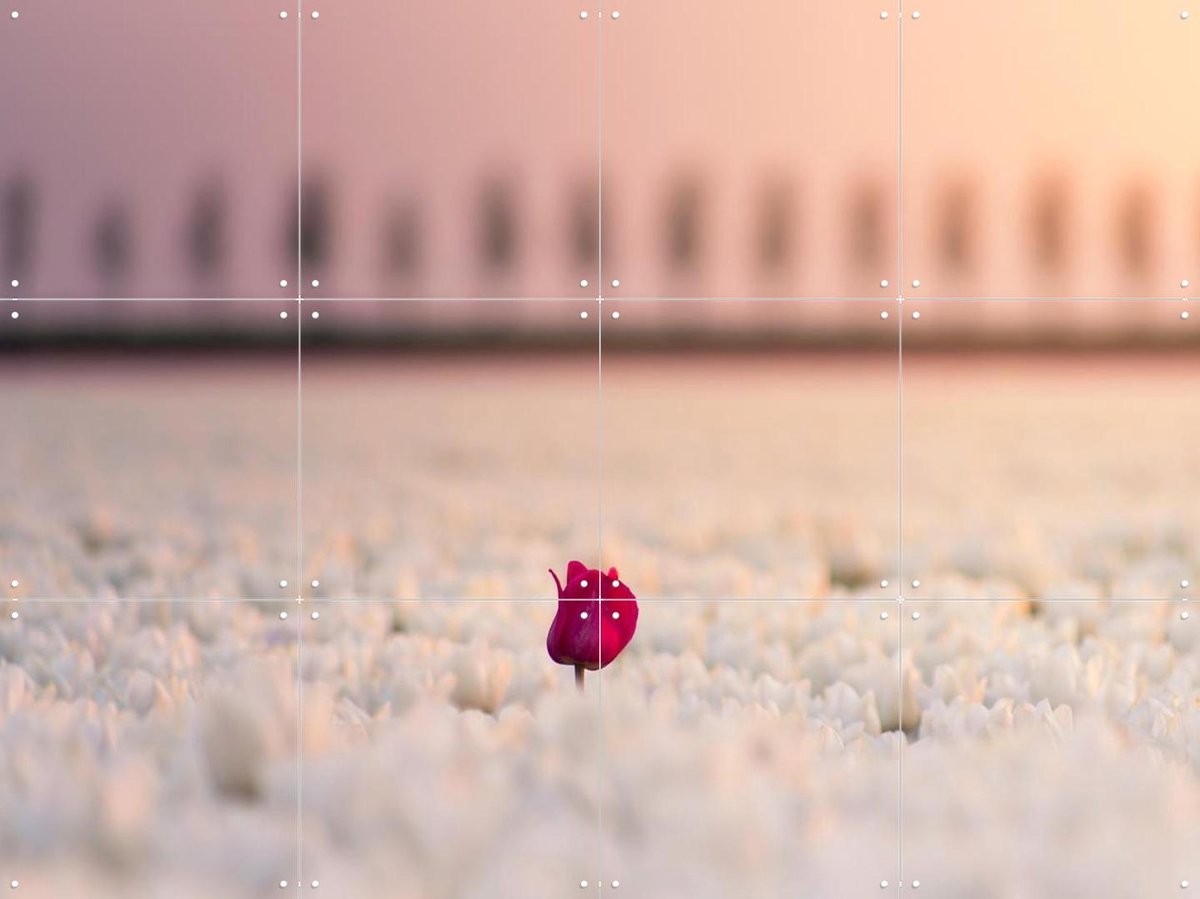 IXXI The One that Stands Apart, Claire Droppert - 80 x 60 cm - Gratis ophangtool - Grote wanddecoratie en posters - Fotografie, Slaapkamer, Gang