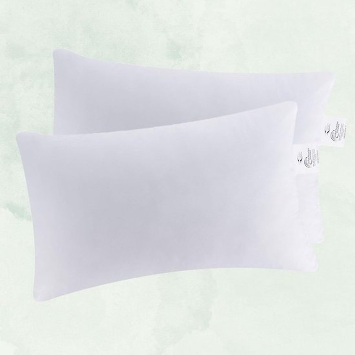 Set van 2 Extra Stevige Binnenkussens - 90% Ganzenveer & 10% Dons - 30x50 cm