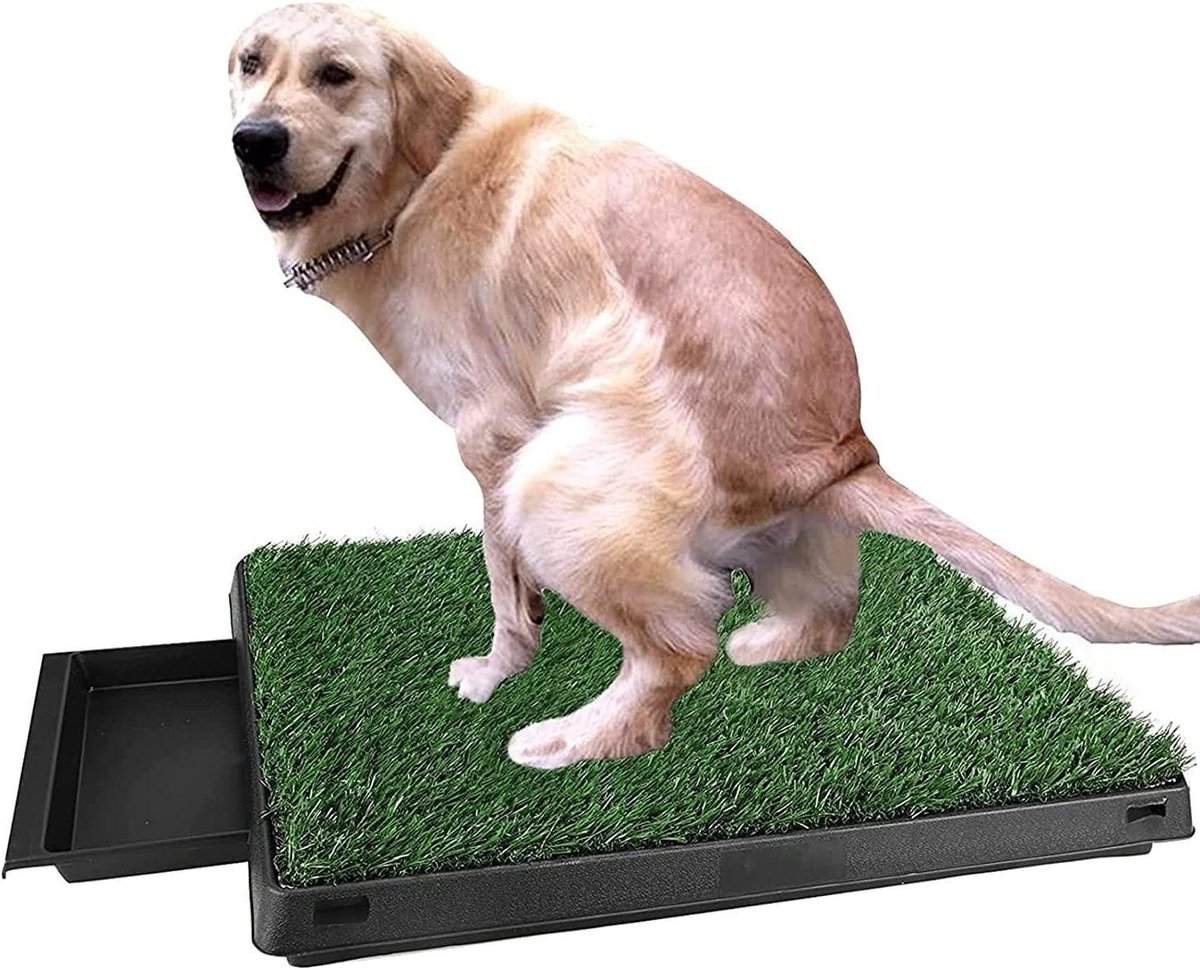 Hondentoilet - Puppy Toilet - Zindelijkheidstraining - Drielaags Systeem - 63 x 50 cm - Zwart
