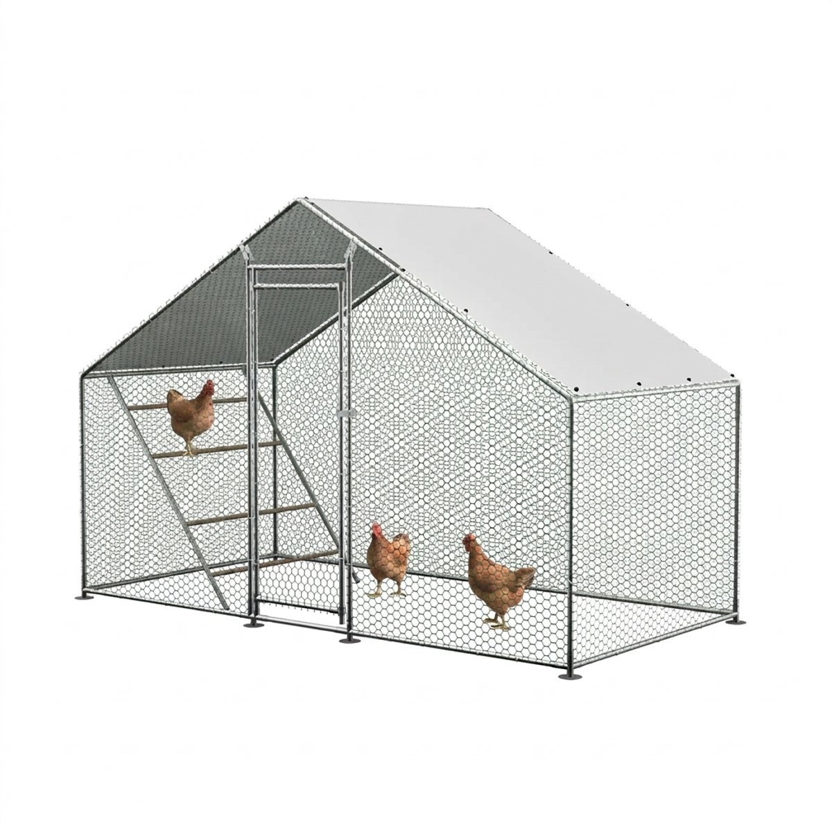 Kippenhok met Ren en Ladder – Weerbestendig Dierenverblijf voor Kippen, Vogels en Kleine Huisdieren – Eenvoudig te Reinigen