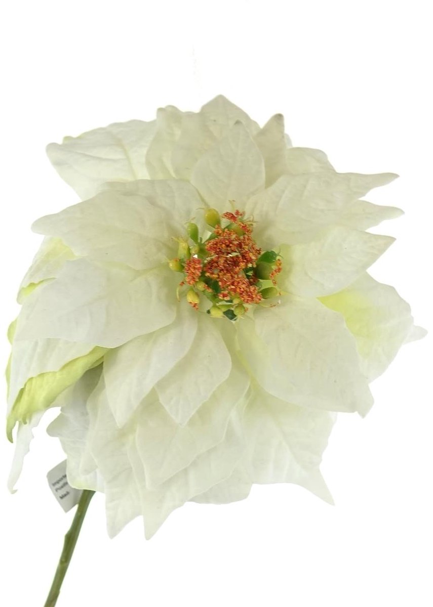 CREATIV home Kerstster-poinsettia Velvet wit 53 cm
