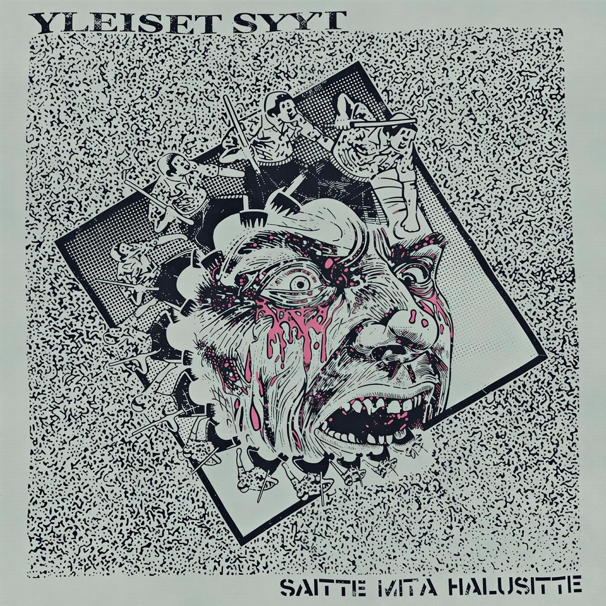 Yleiset Syyt - Saitte Mita Halusitte (LP)