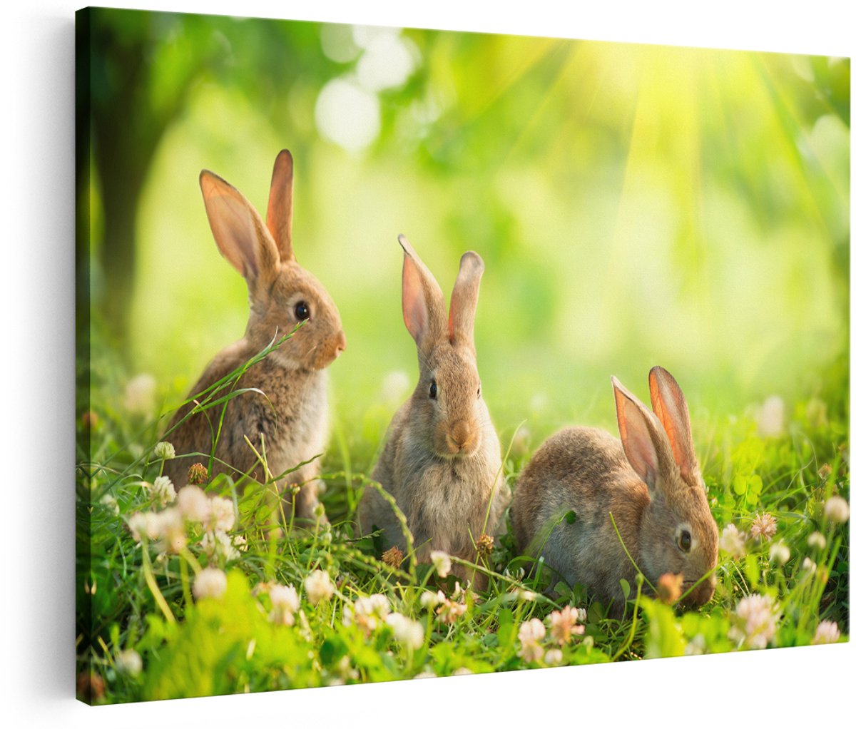 Artaza Canvas Schilderij Drie Konijnen Op Het Gras Bij Zonneschijn - 150x100 cm - Groot - Foto Op Canvas - Wanddecoratie Woonkamer