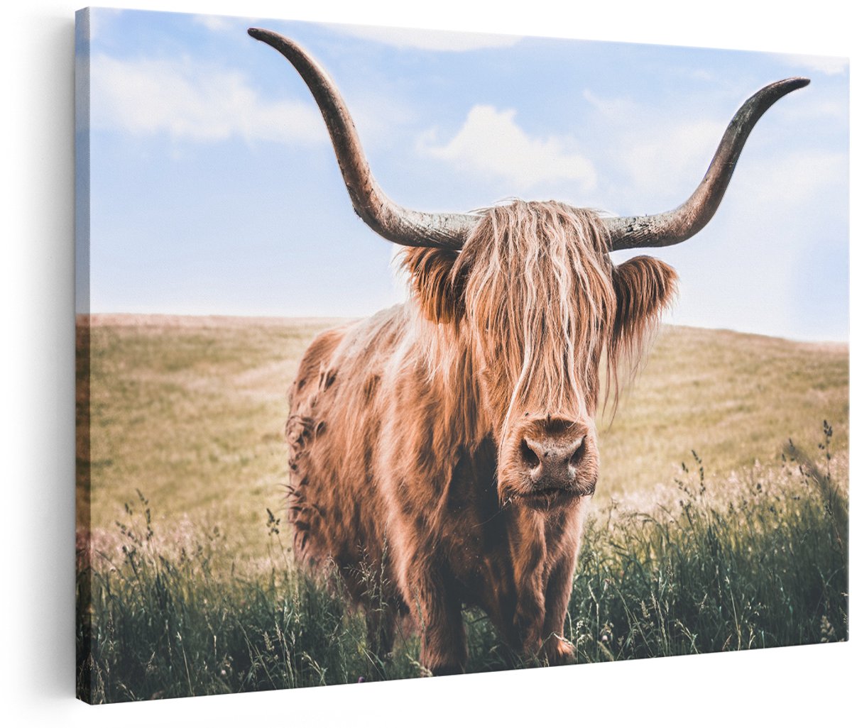 Artaza Canvas Schilderij Schotse Hooglander Koe In De Wei - 180x120 cm - Groot - Foto Op Canvas - Wanddecoratie Woonkamer