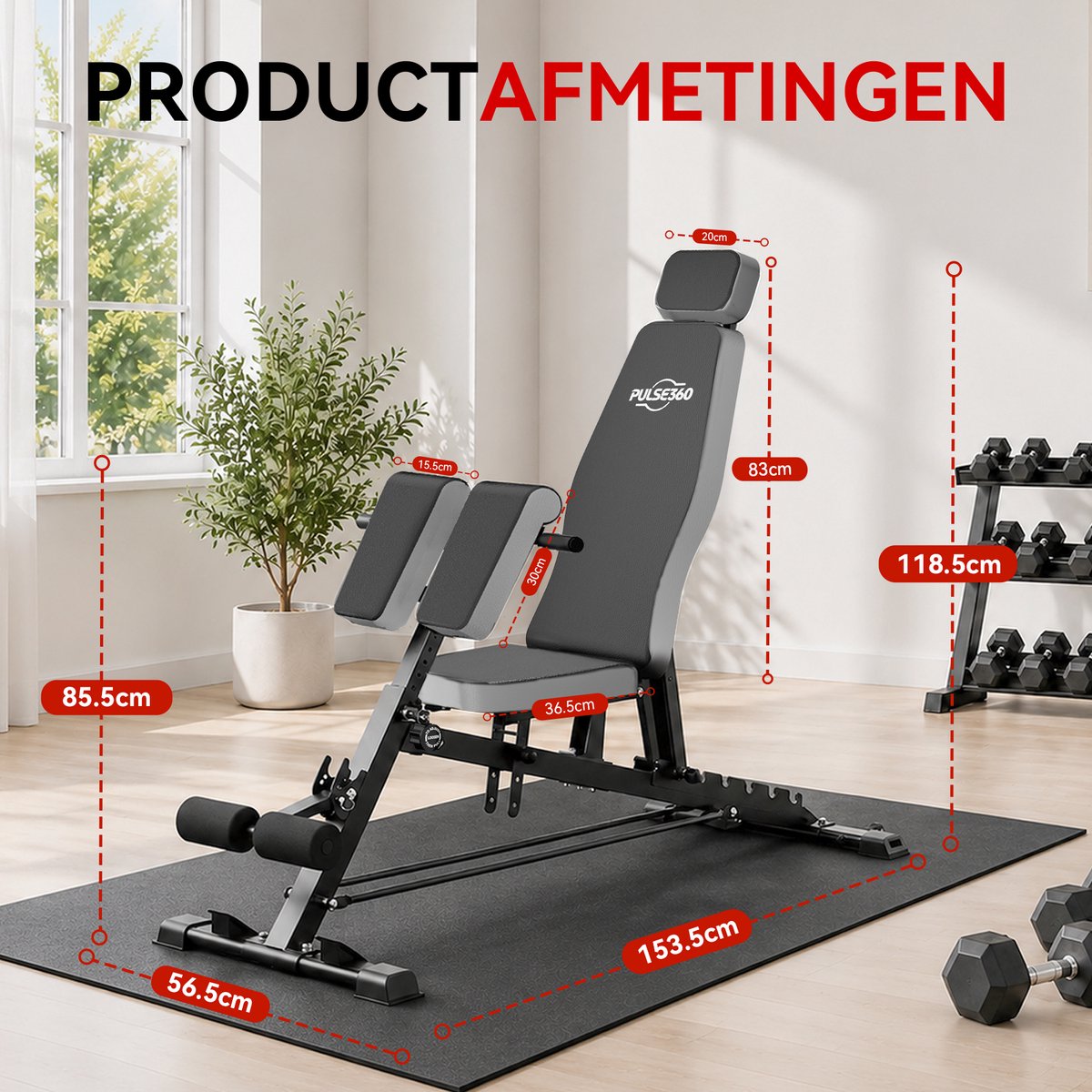 PULSE360 PULSE360 Fitnessbank Core Trainingsbank - afbeelding 5