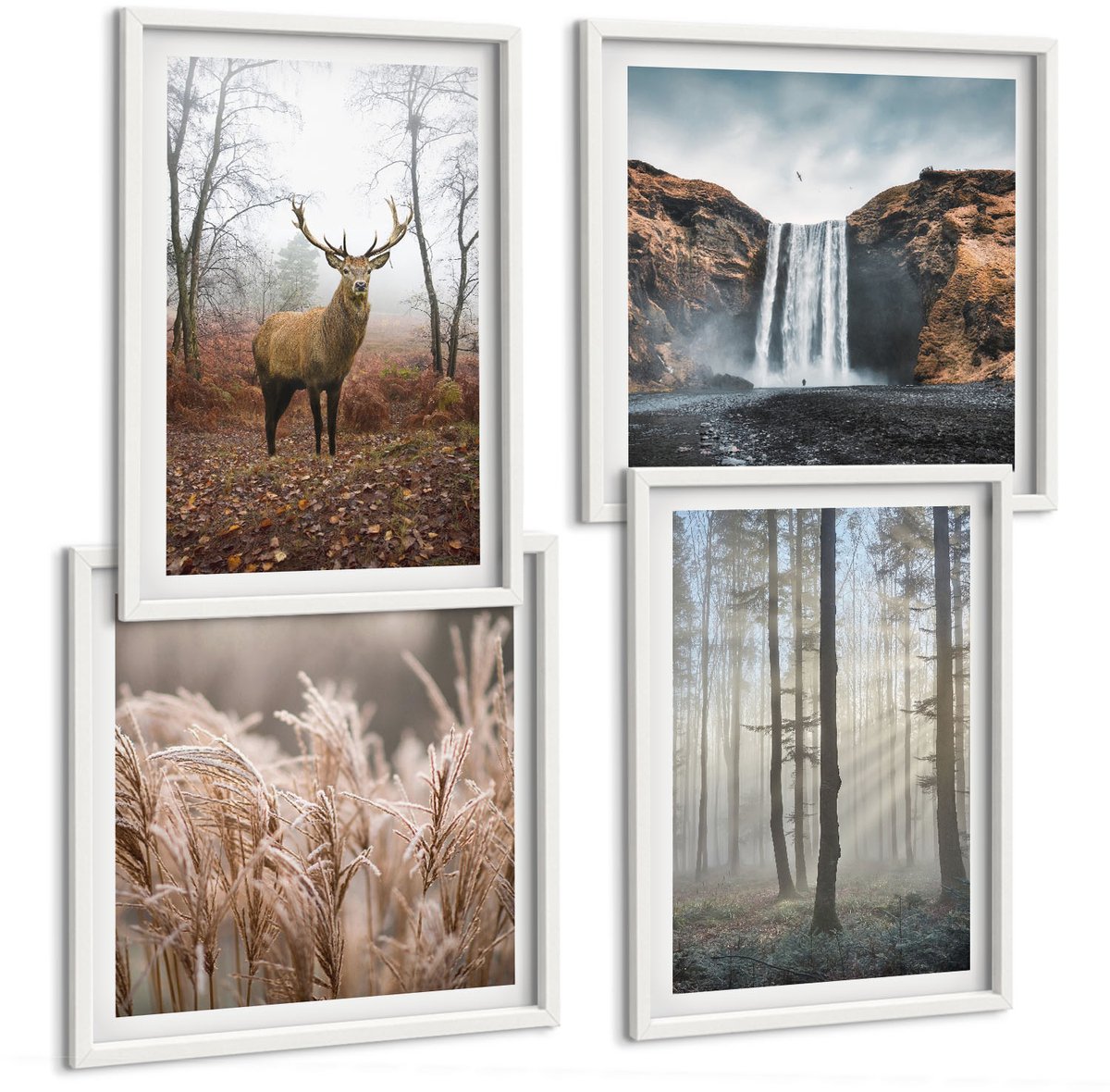 Wallfluent 4-Delige Schilderij Set - Boslandschappen Wilde Natuur Herten - 40 x 40 En 40 x 60 - Wanddecoratie - Schilderijen Set - Kantoor - Moderne Wanddecoratie