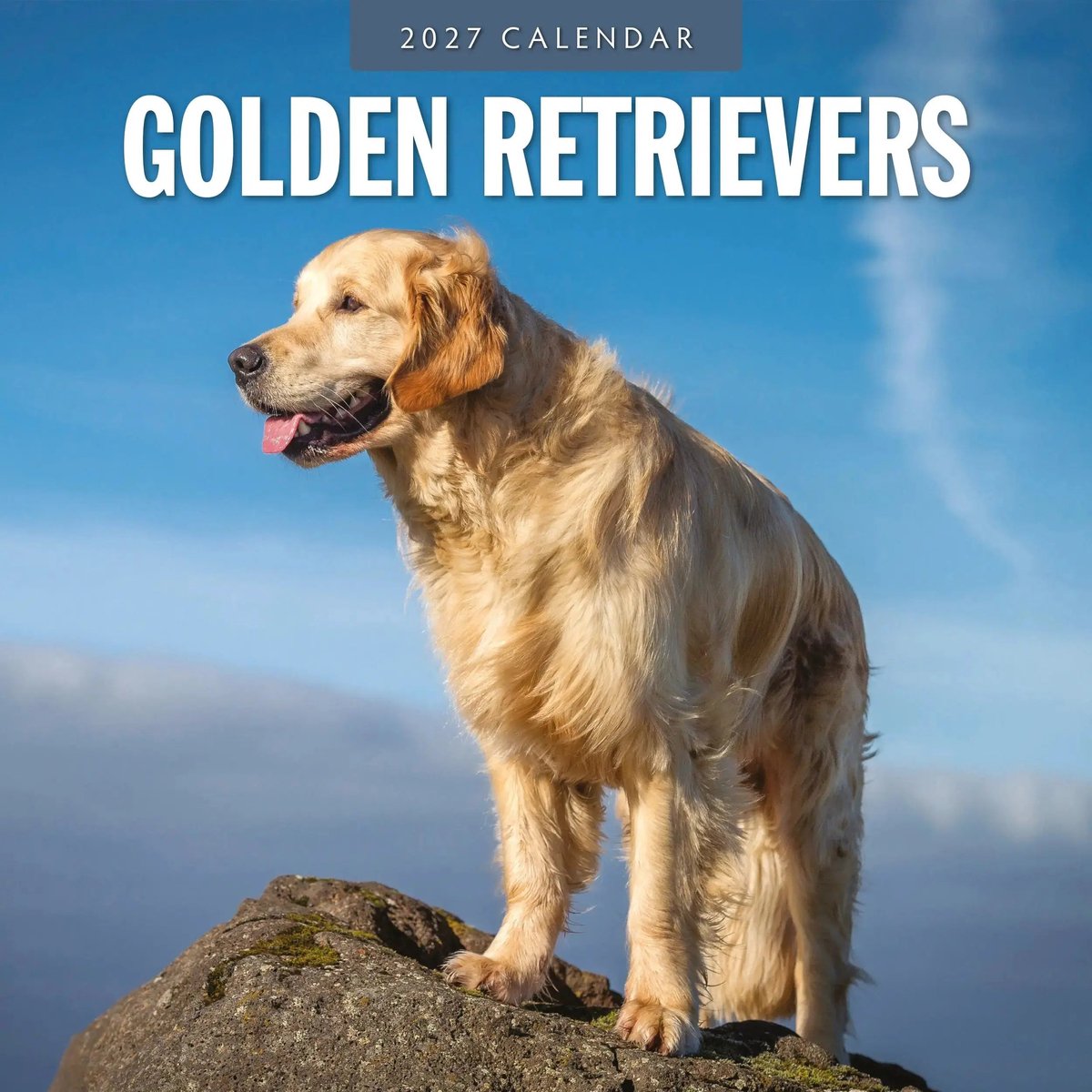 Golden Retriever Kalender 2027