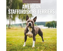 American Staffordshire Terrier Kalender 2027