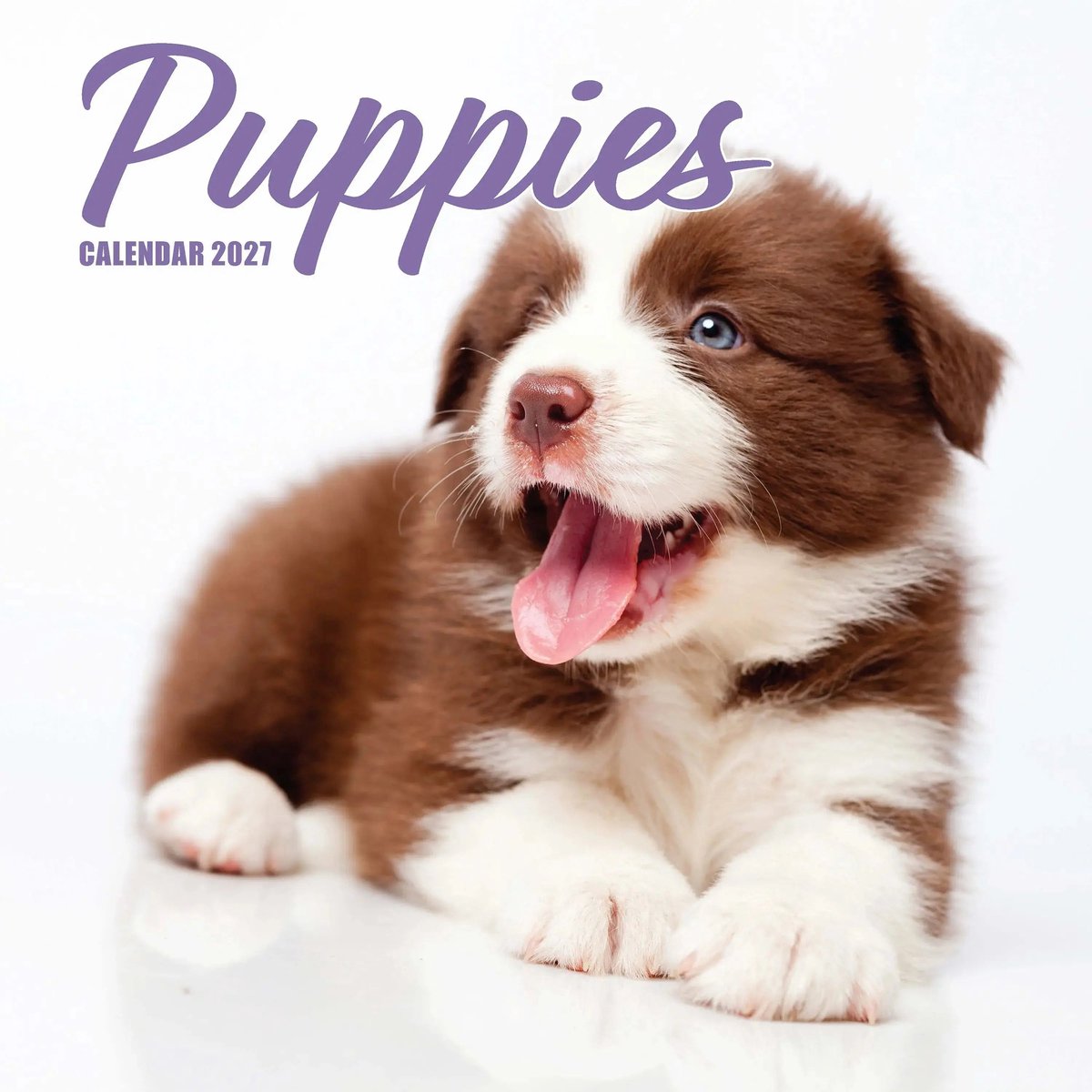 Puppies Kalender 2027