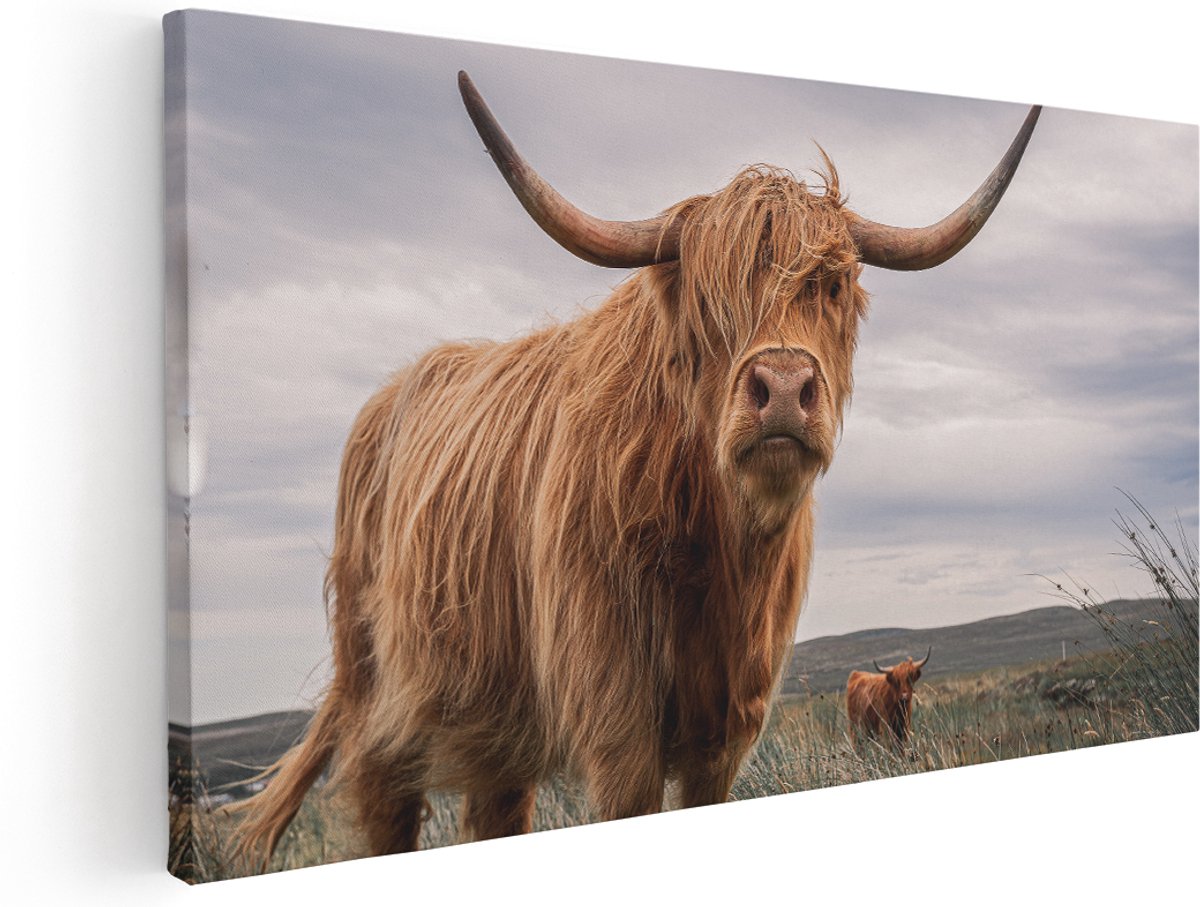 Artaza Canvas Schilderij Schotse Hooglander Koeien In De Wei - 180x90 cm - Groot - Wanddecoratie Woonkamer - Schilderijen - Muurdecoratie