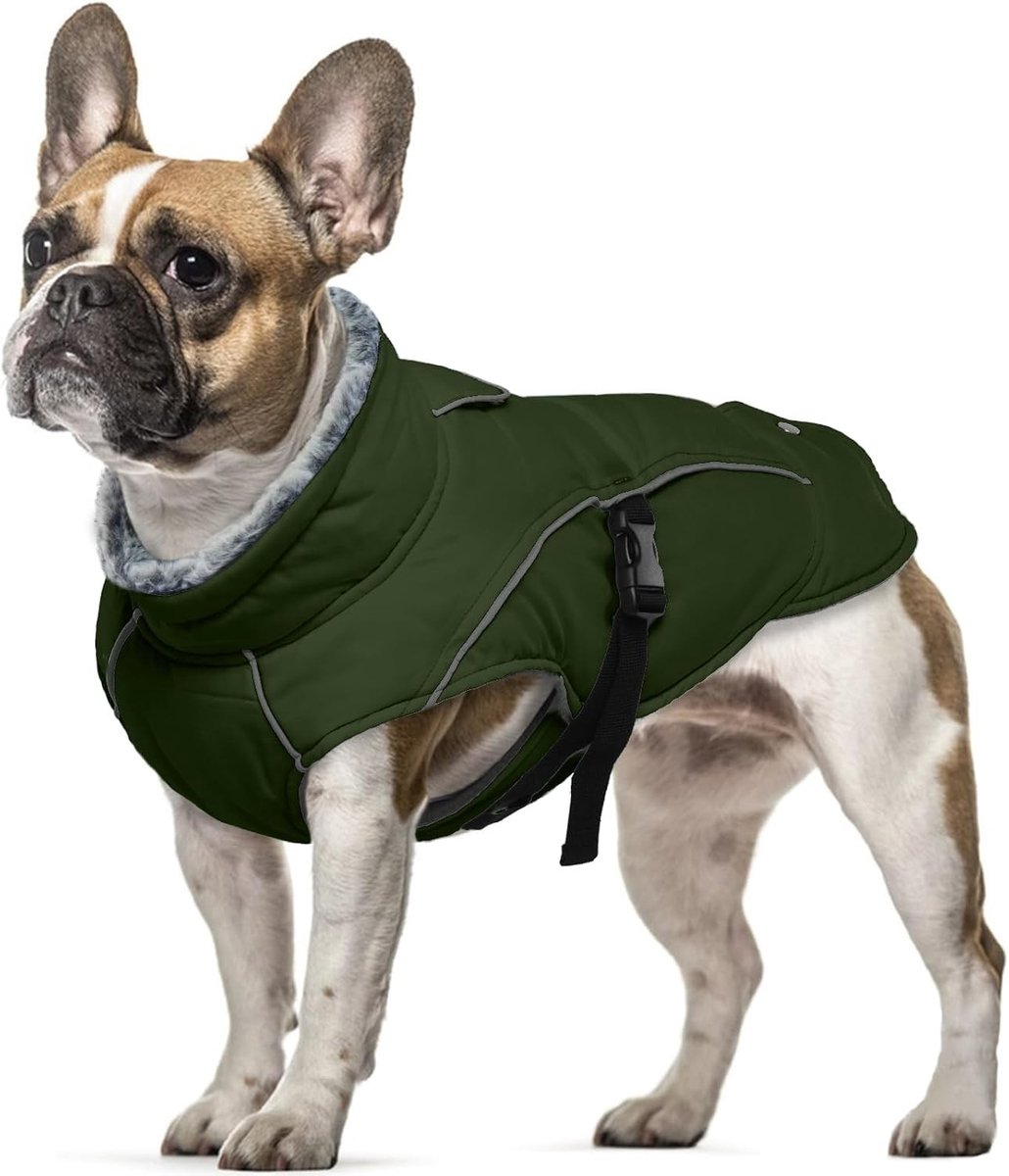 Warme en Waterdichte Hondenjassen voor Kleine Honden - Winterjas, Reflecterend en Comfortabel voor Buitenactiviteiten