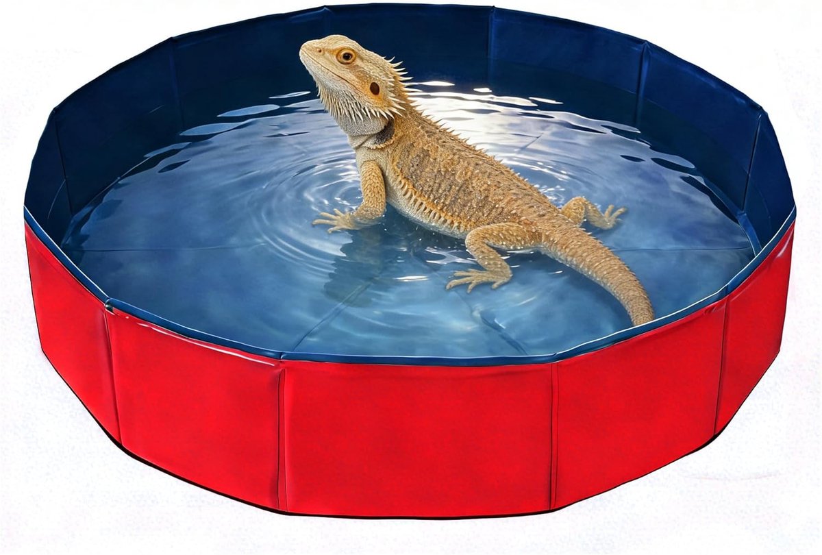Opvouwbaar Huisdierbad - Voor Grote & Kleine Honden - Katten - Baardagamen - Kamperen - Groenten Wassen - Kleine Dieren - Rood