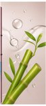 Twee groene bamboestengels met bladeren en waterdruppels.