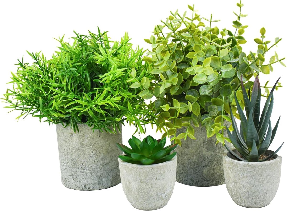 Set Kunstplanten - Natuursteen - 25 cm - Kunstplanten in Potten van PVC - Voor Binnen, Kantoor en Slaapkamer