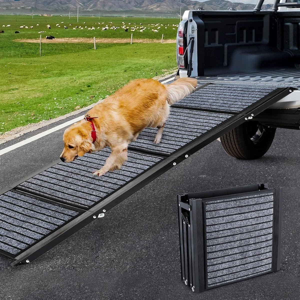 Hondenhelling Auto - Hondenoprijplaat - Grote Honden - Extra Breed En Lang - 180 cm - Grijs