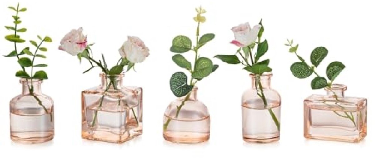 Set van 5 Glazen Mini Bud Vazen voor Bloemen - Champagne Vaasjes voor Tafeldecoratie, Centerpiece, Woonkamer en Eettafel - Smalle Opening, Dik Glas, Mix van Vormen en Hoogtes