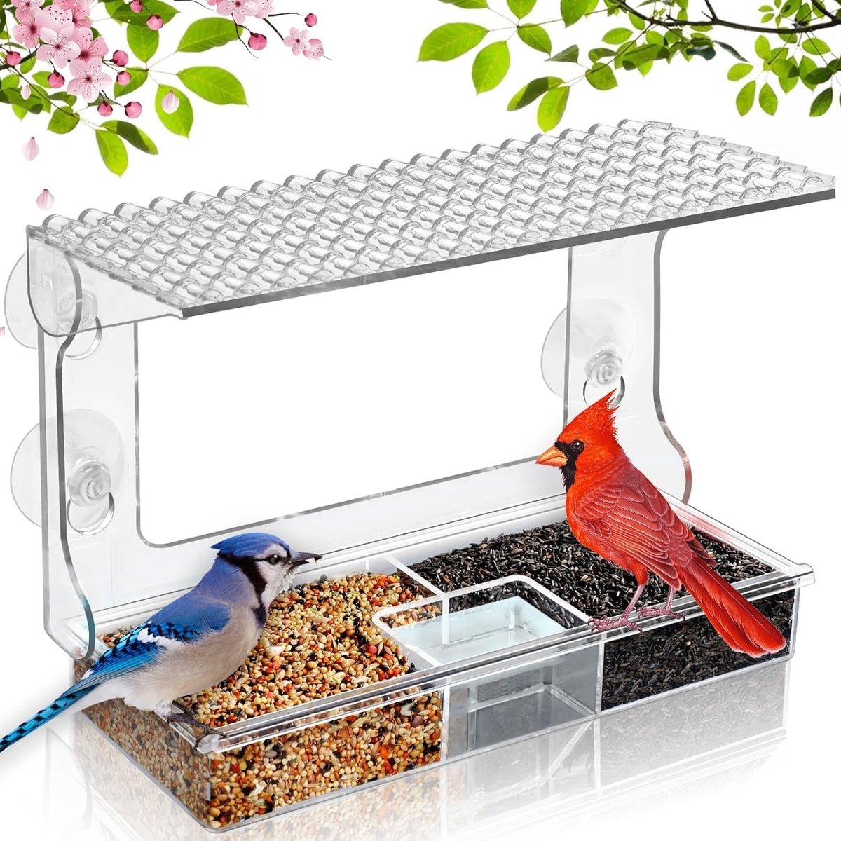 Raamvoederhuisje voor vogels - Transparant - 23,8 x 16,5 cm - Met Zuignappen en Zitstang - Voor Kleine Wilde Vogels