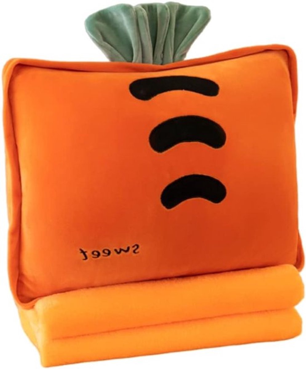 Reisdeken en Kussen Set, 3-in-1 Pluche Kussen met Warmte voor Kinderen, Ideaal voor Vliegtuig, Auto en Thuisgebruik