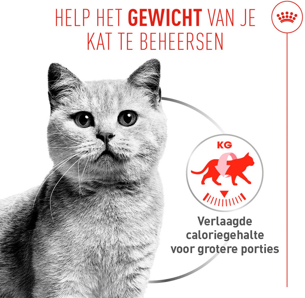 Royal Canin - Kattenvoer Nat Light Weight Care Airlift Mousse - 12 x 85 gr