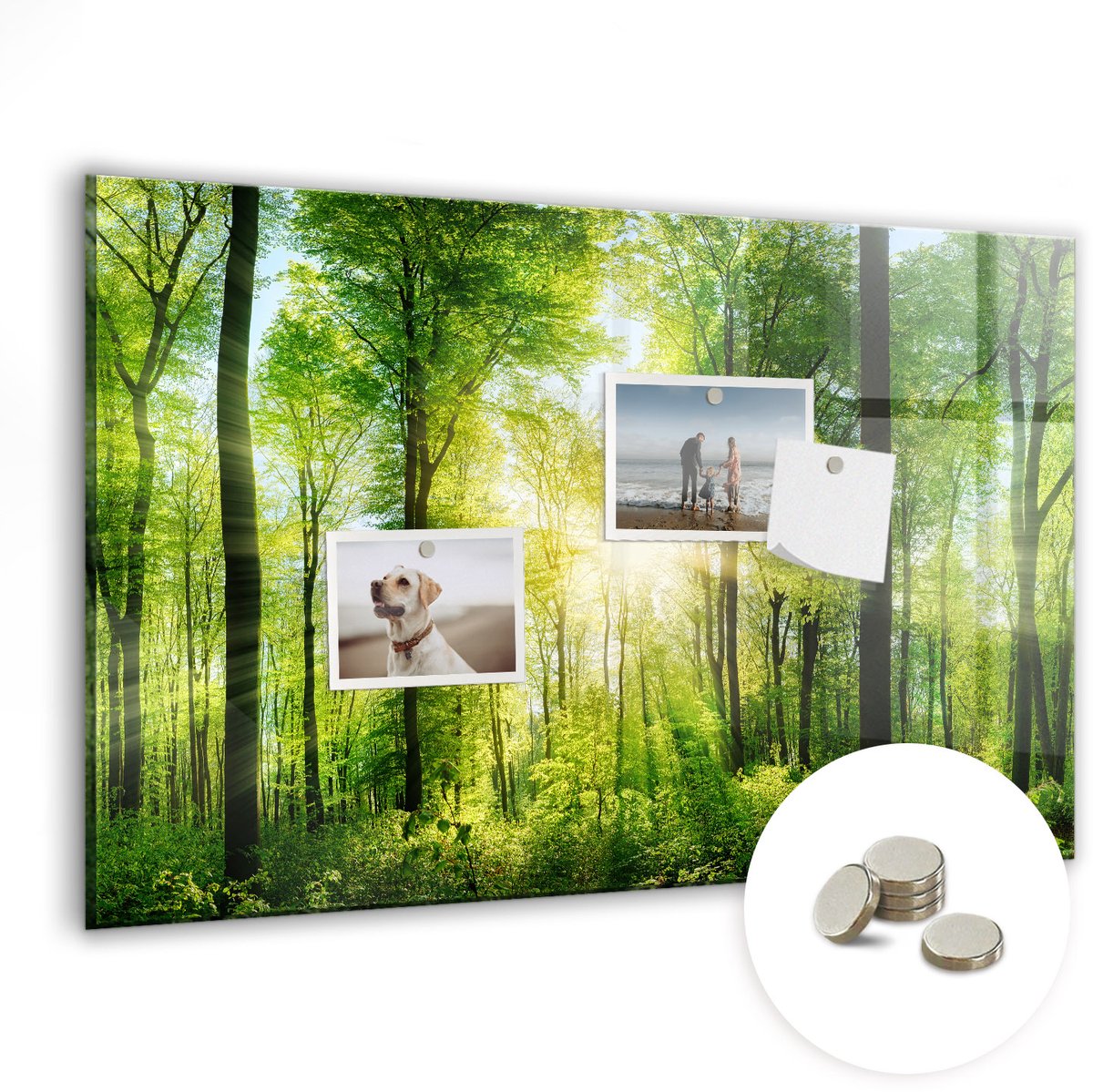 Coloray Glazen Magneetbord - Magnetisch Bord Natuurlijke bosbomen - 60x40 cm - Groente Magneetbord - Magnetic Board - Woonkamer Decoratie
