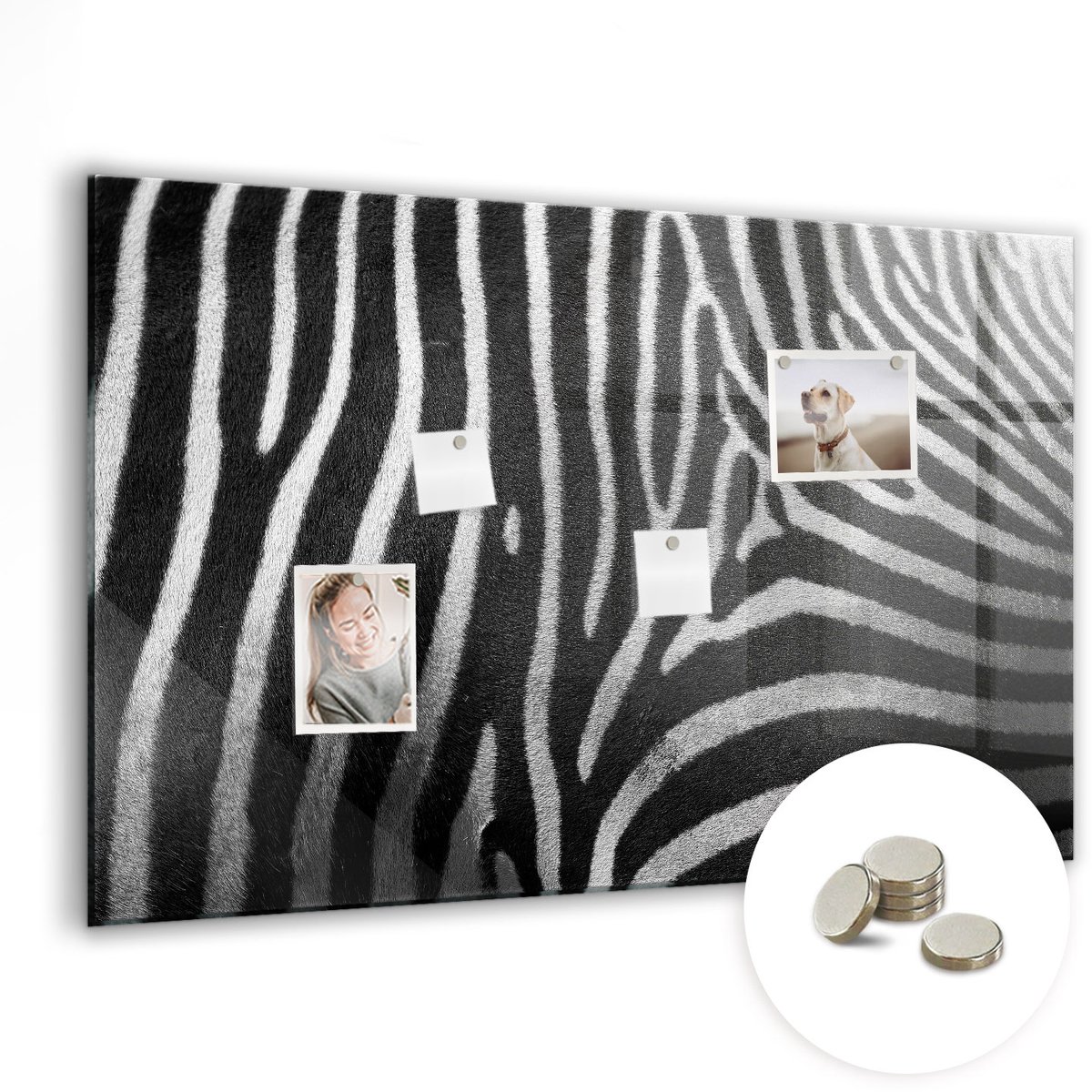 Coloray Glazen Magneetbord - Magnetisch Bord Palmbladeren - 90x60 cm - Zwart-wit Magneetbord - Magnetic Board - Bureau Decoratie
