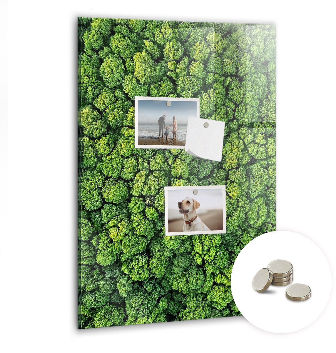 Coloray Glazen Magneetbord - Magnetisch Bord Rivier in het bos - 40x60 cm - Groente Magneetbord - Magnetic Board - Woonkamer Decoratie