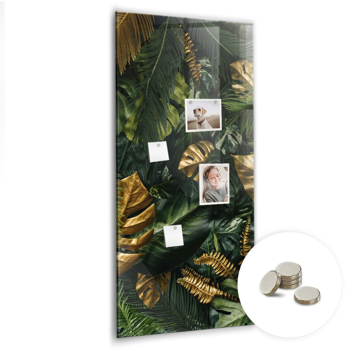 Coloray Glazen Magneetbord - Magnetisch Bord Koffie - 60x120 cm - Groente Magneetbord - Magnetic Board - Keuken Decoratie