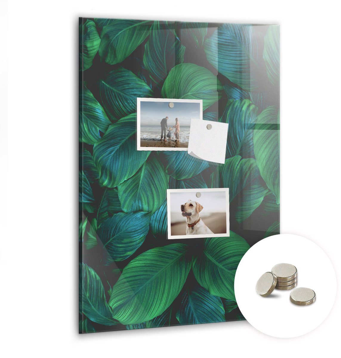 Coloray Glazen Magneetbord - Magnetisch Bord Inspirerend citaat - 40x60 cm - Groente Magneetbord - Magnetic Board - Magneetbord Design